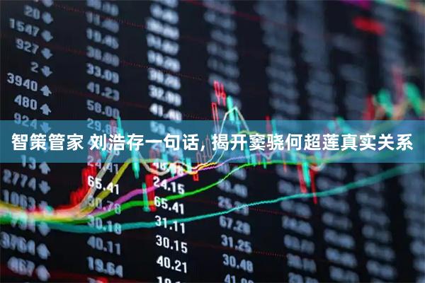 智策管家 刘浩存一句话, 揭开窦骁何超莲真实关系