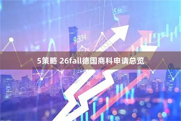 5策略 26fall德国商科申请总览