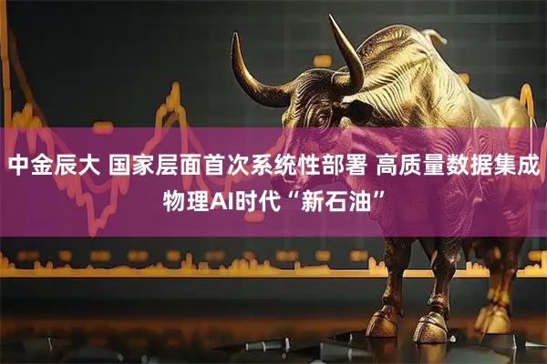 中金辰大 国家层面首次系统性部署 高质量数据集成物理AI时代“新石油”